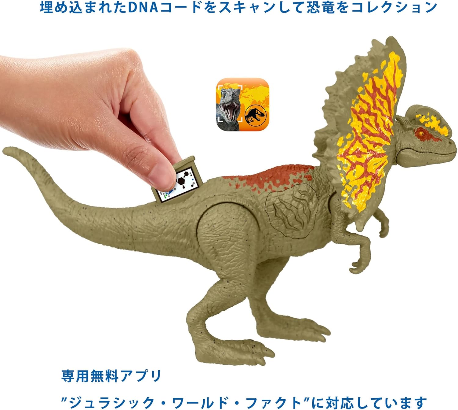 **MTS Toys**Mattel Jurassic World Epic Attack : HNC12 Dilophosaurus [ความยาวจากหัวถึงหาง 20 ซ.ม.]