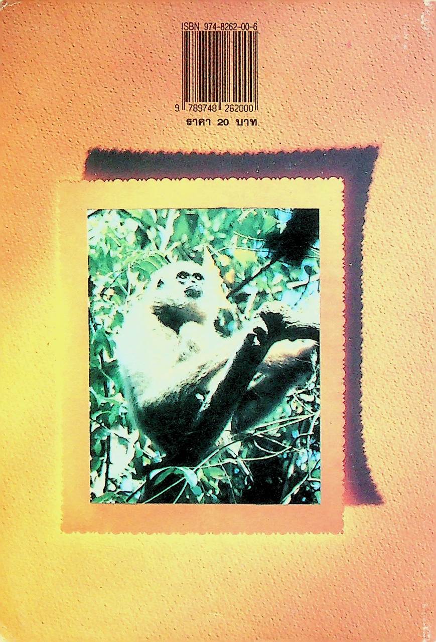 ชีวิตบ้านป่า