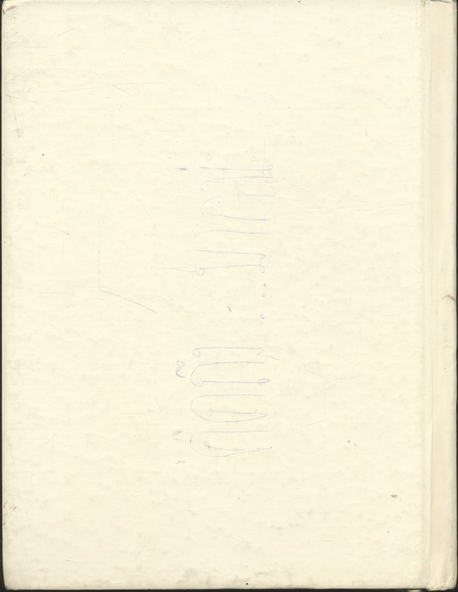 MY Disney DIARY 1989