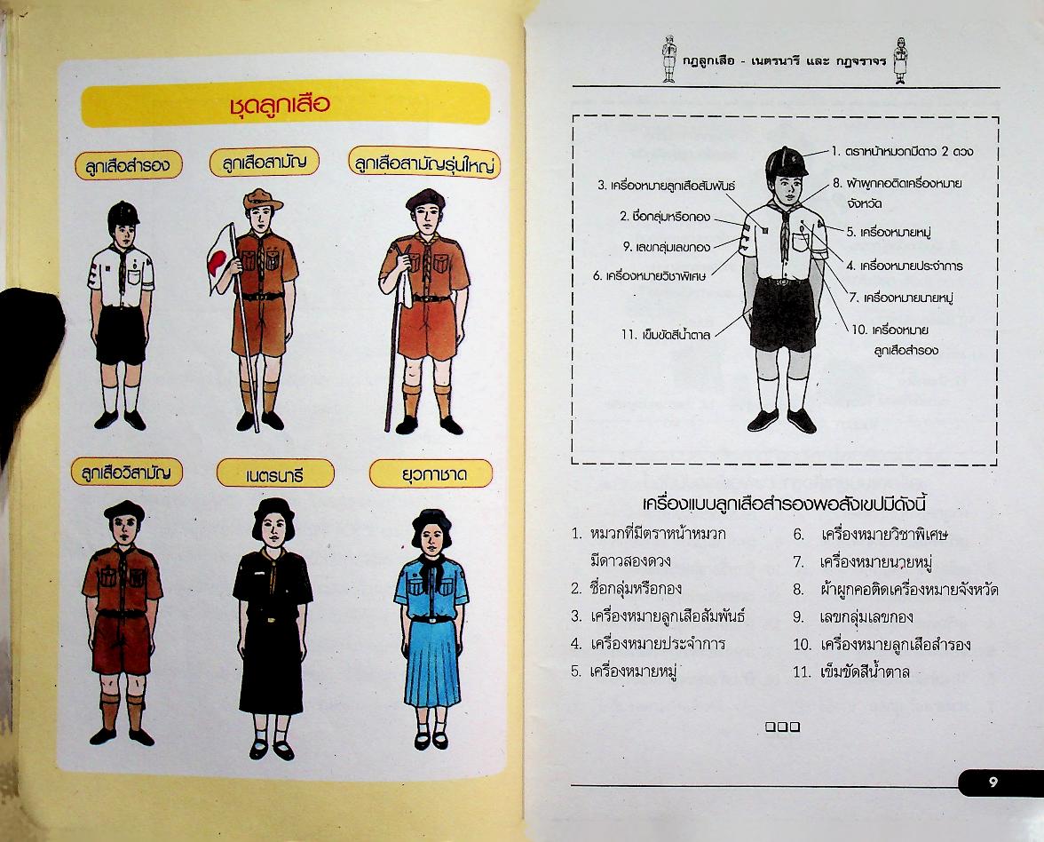 กฎลูกเสือ - เนตรนารี และ กฎจราจร