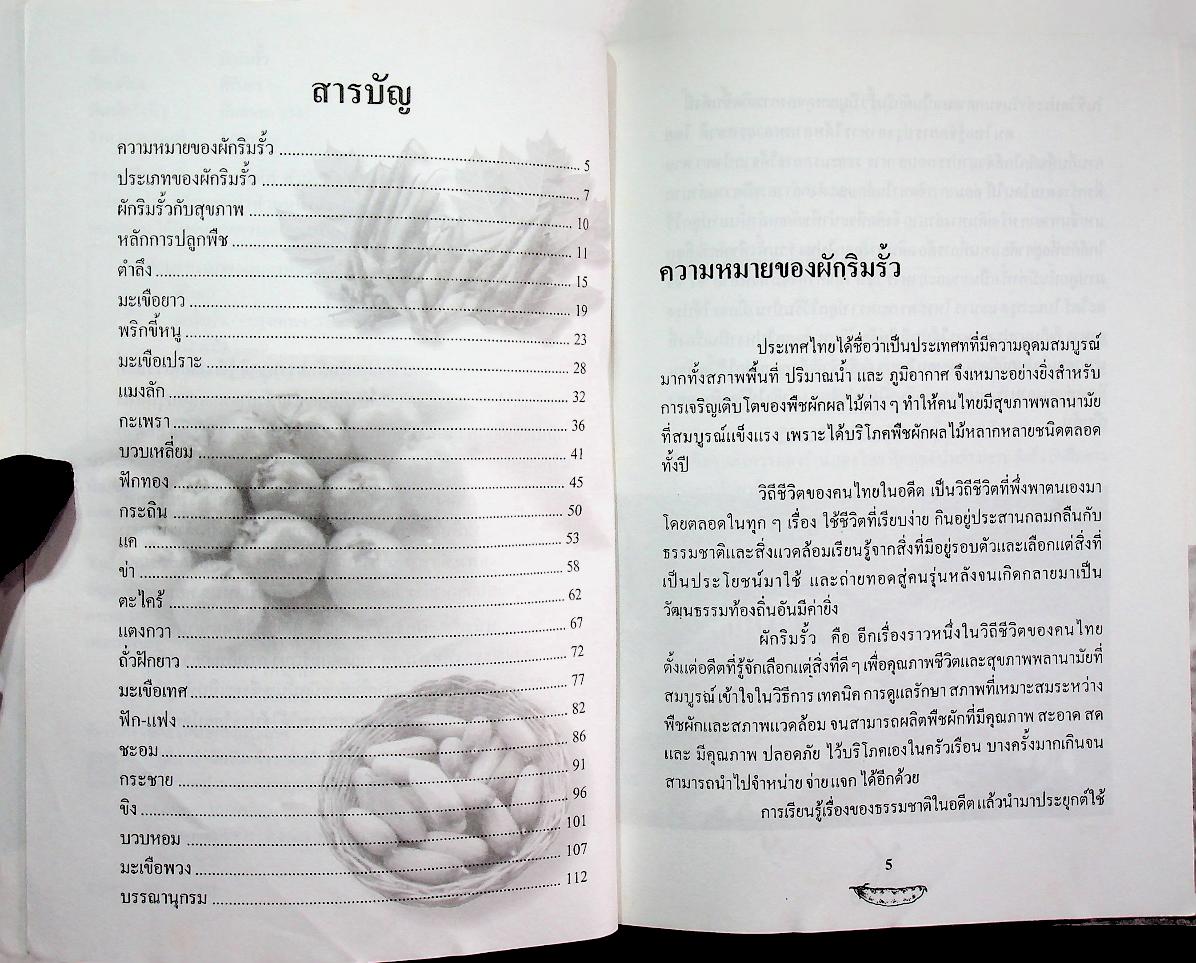 ผักริมรั้ว