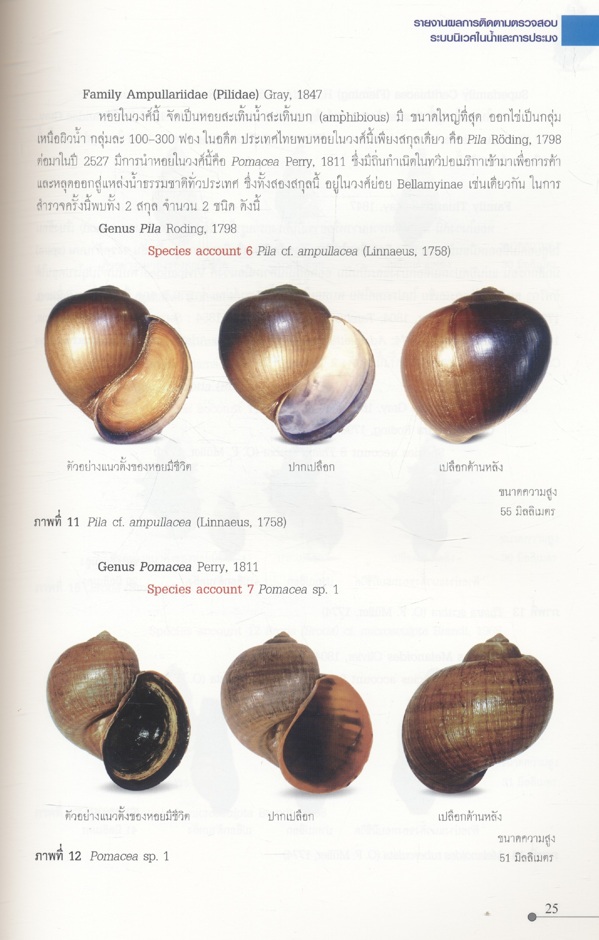 รายงานผลการติดตามตรวจสอบระบบนิเวศในน้ำและการประมง โครงการเขื่อนแควน้อยอันเนื่องมาจากพระราชดำริ