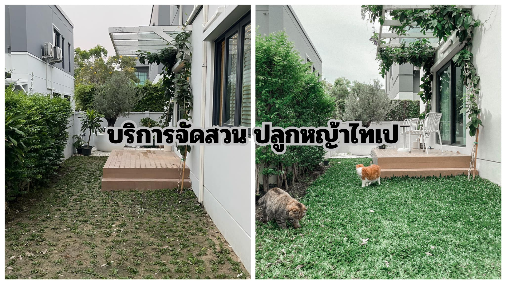 รับปูหญ้าไทเปราคาถูก