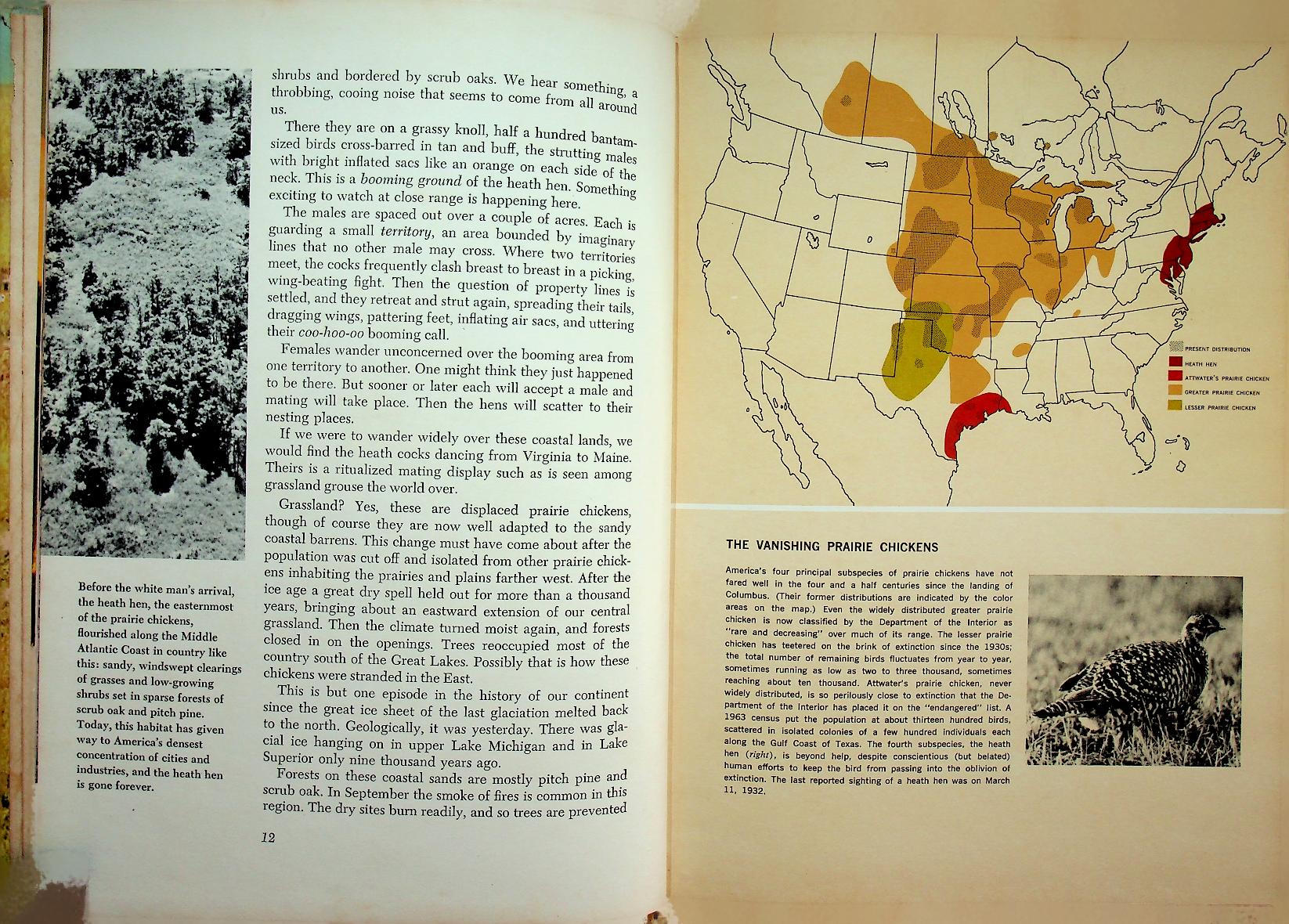 The Life of Prairies and Plains