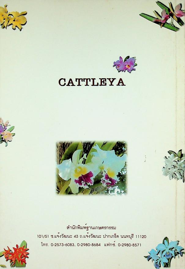 แคทลียา