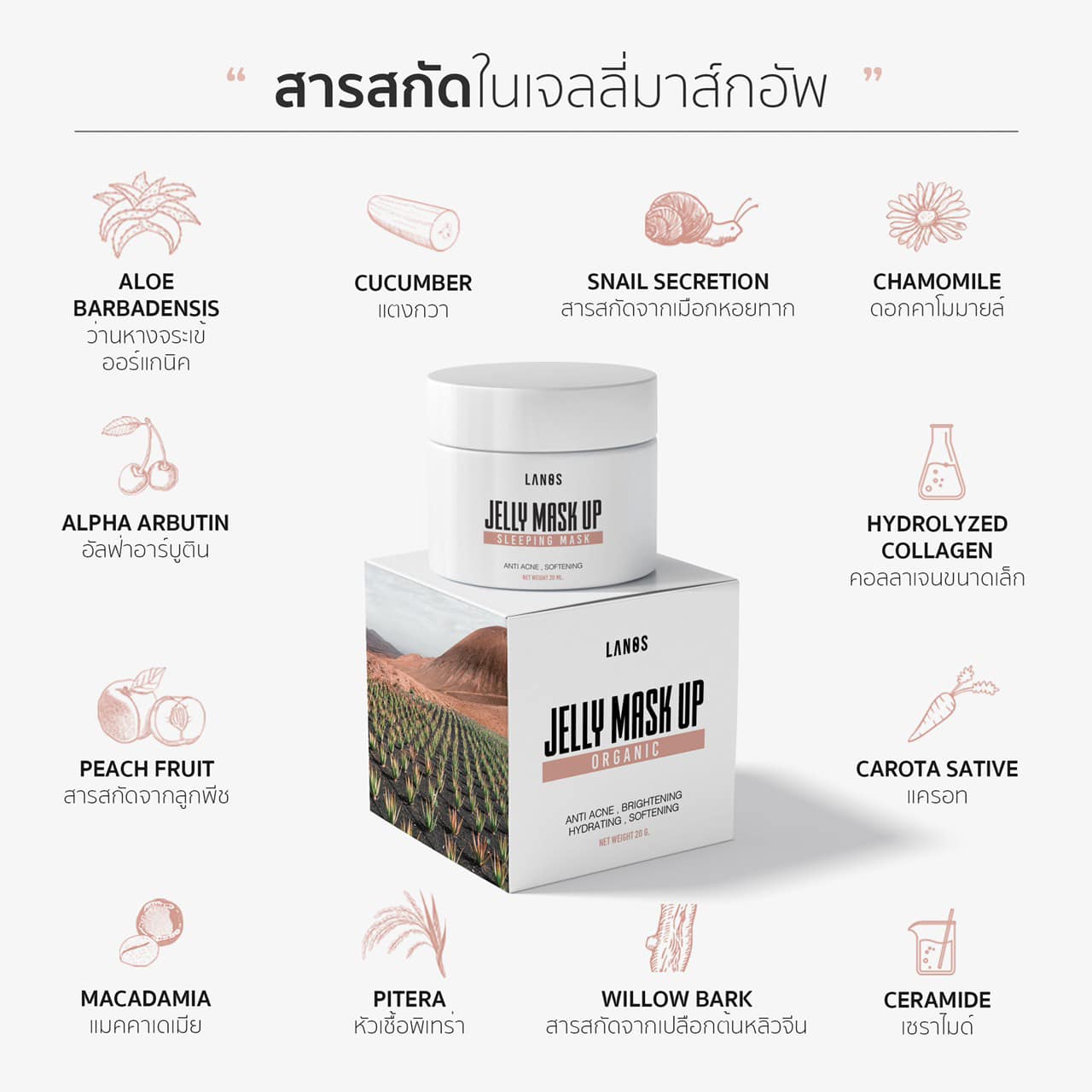 เจลลี่มาร์ค สูตรลดสิวผิวใส Jelly mask up ของแท้ แพ็คเกจใหม่