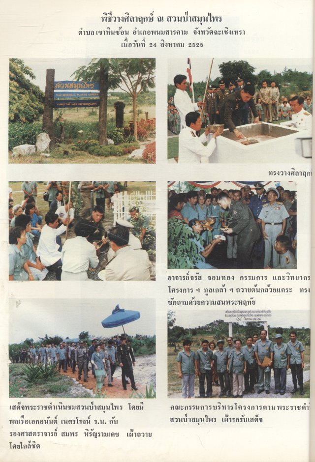 รวมเรื่องราวต่างๆ เกี่ยวกับ โครงการตามพระราชดำริสวนป่าสมุนไพร คำบรรยายในการอบรมหลักสูตรพิเศษ ประสบการณ์ในการใช้สมุนไพร