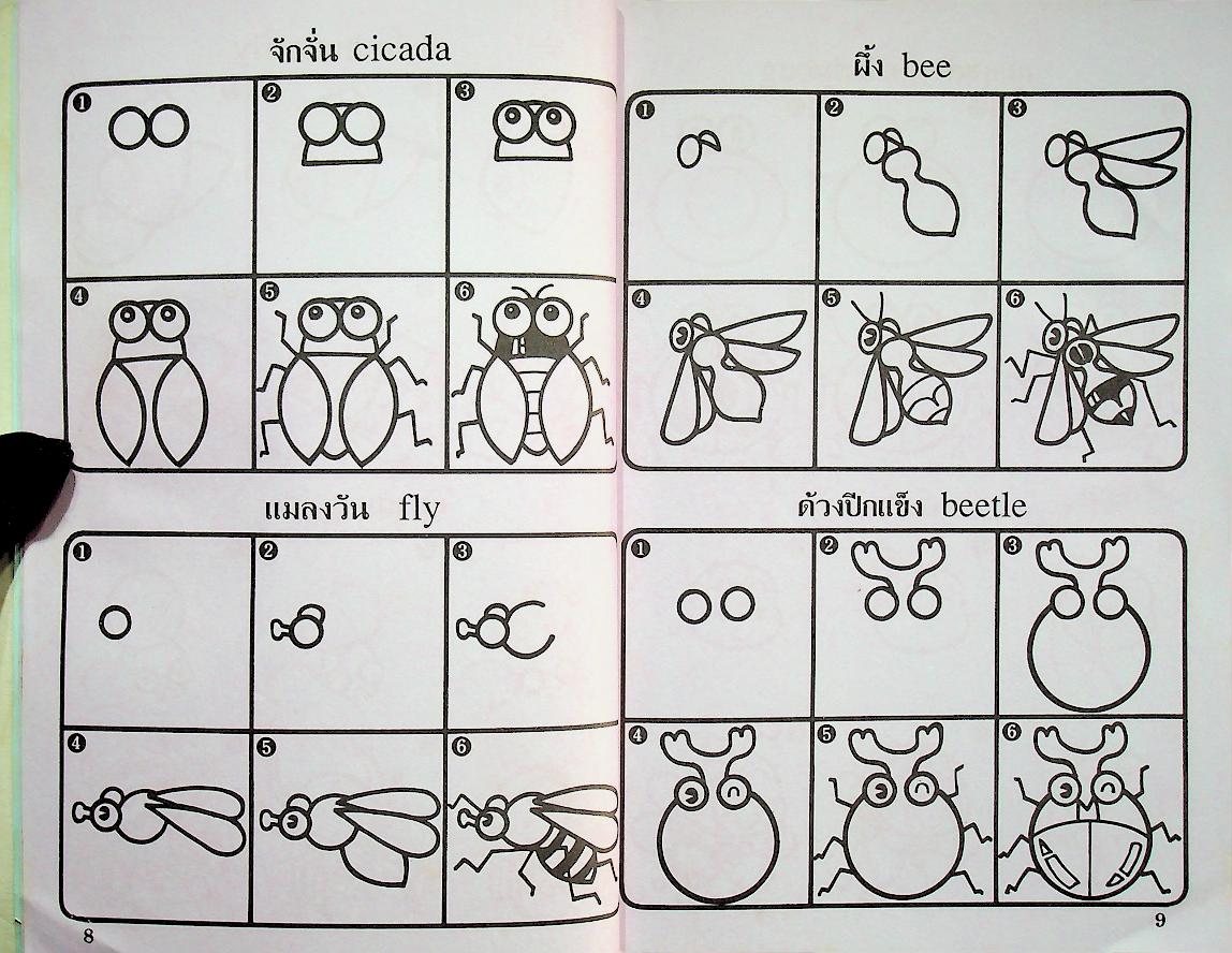 หัดวาดการ์ตูน 5 รูปแมลง