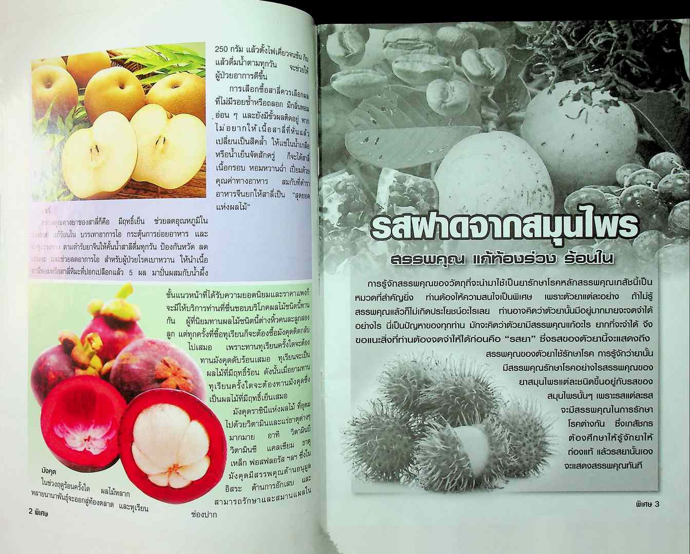 ๑๐๘ สมุนไพรไทย