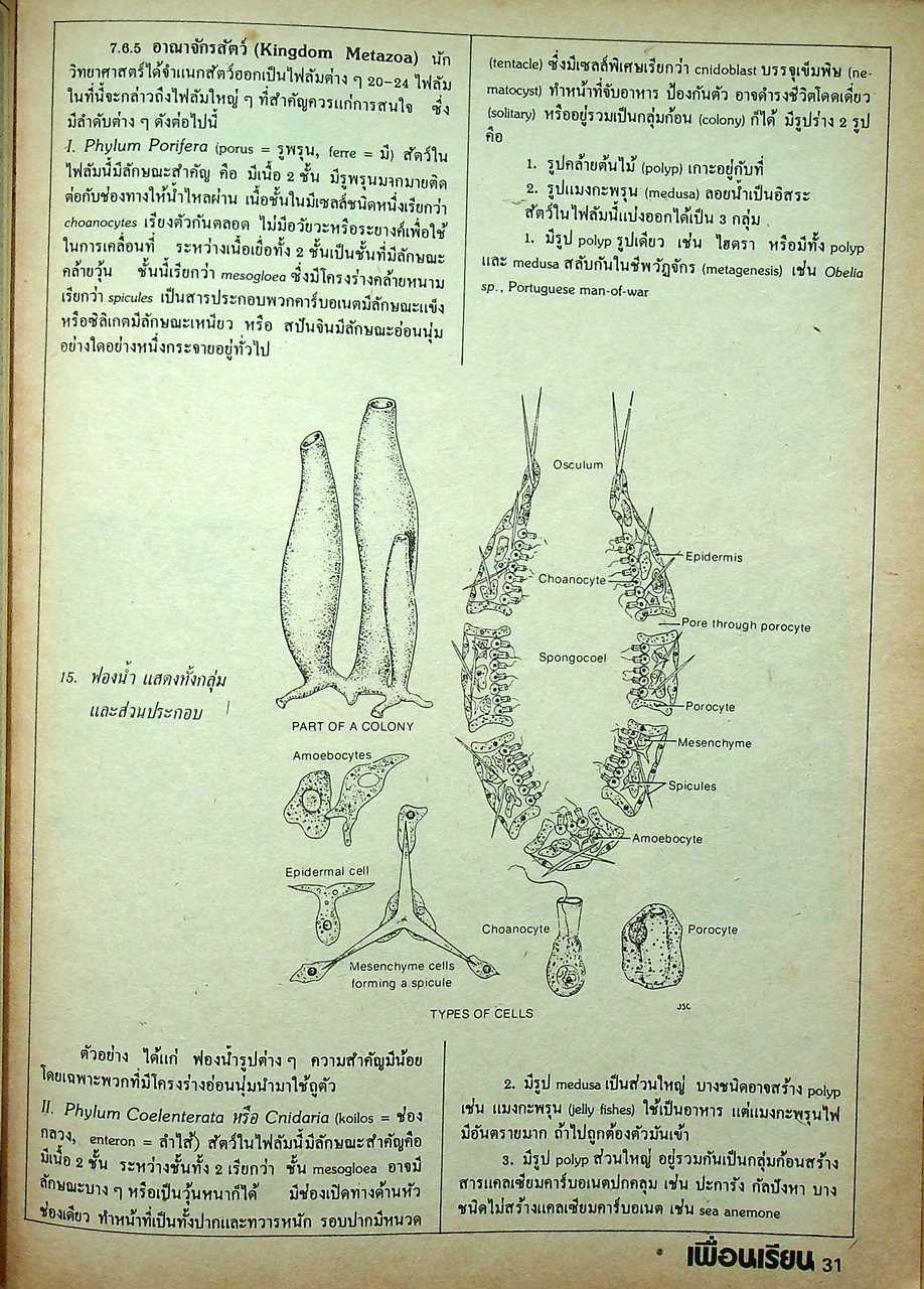 เพื่อนเรียน เพื่อนักเรียนมัธยมปลาย ปีที่ 2 ฉบับที่ 4 สิงหาคม 2524