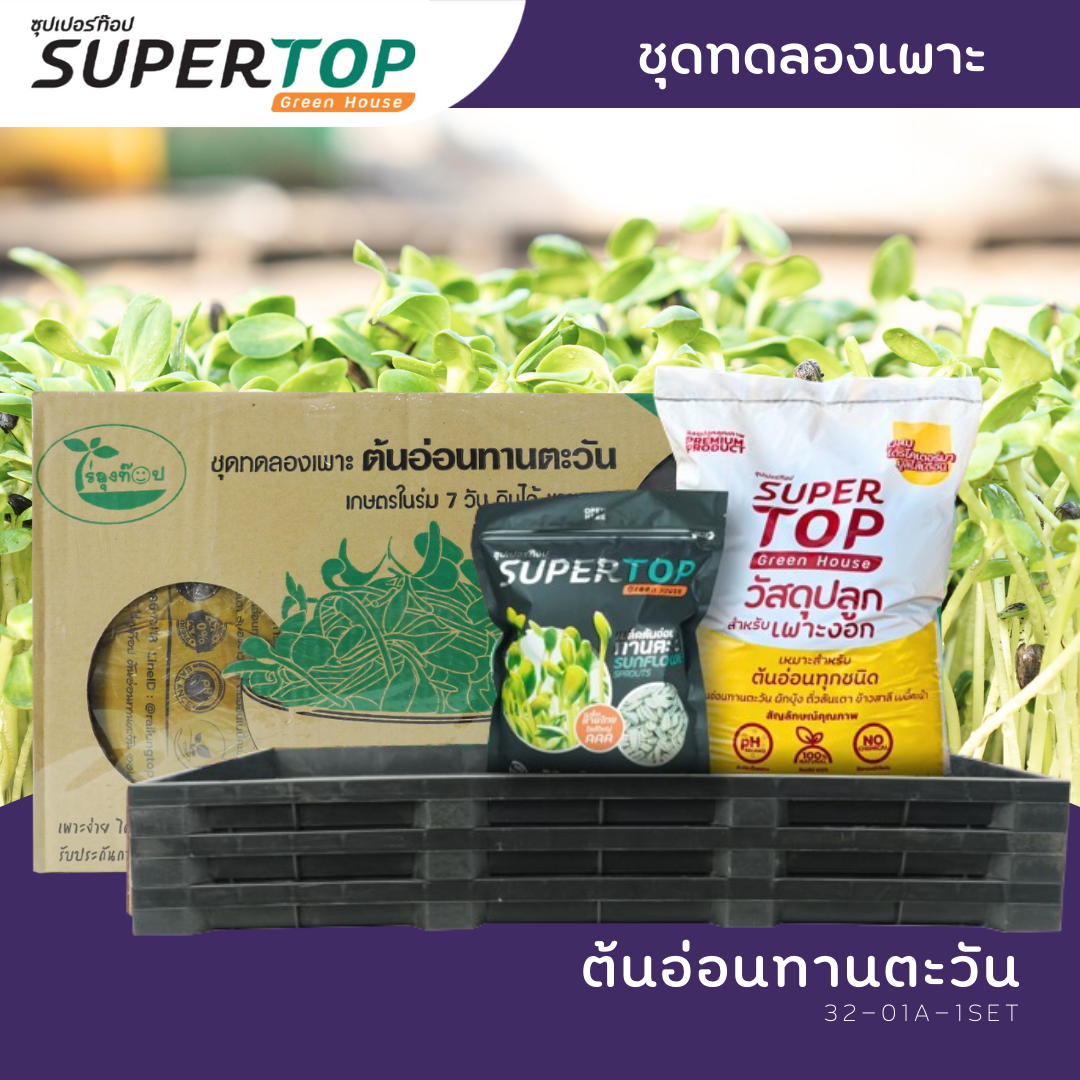 ชุดทดลองเพาะต้นอ่อน (แบบใช้ดิน) SUPERTOP Planting Kit Microgreen
