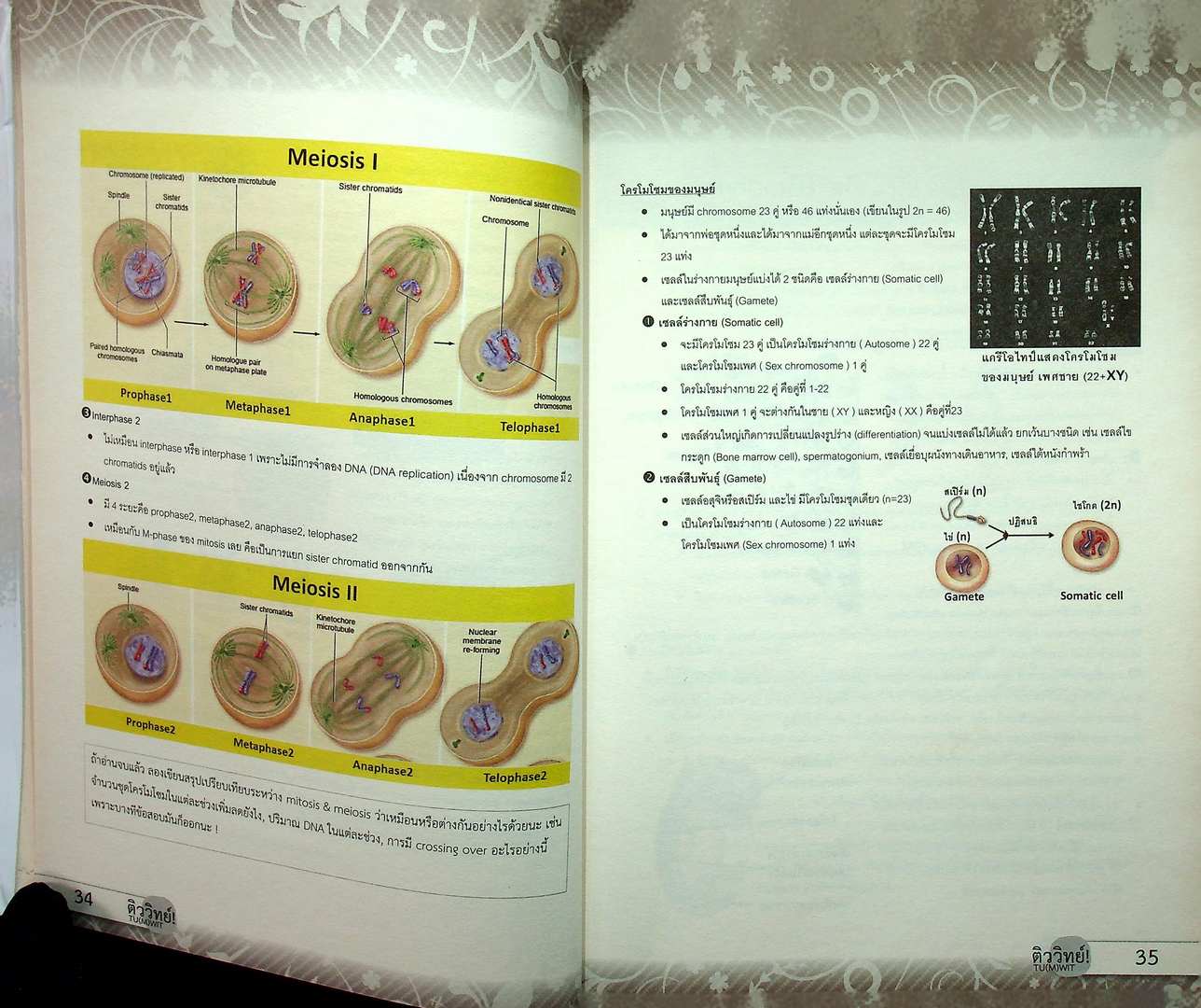 สรุปเนื้อหาชีววิทยา ม.ปลาย BIOLOGY