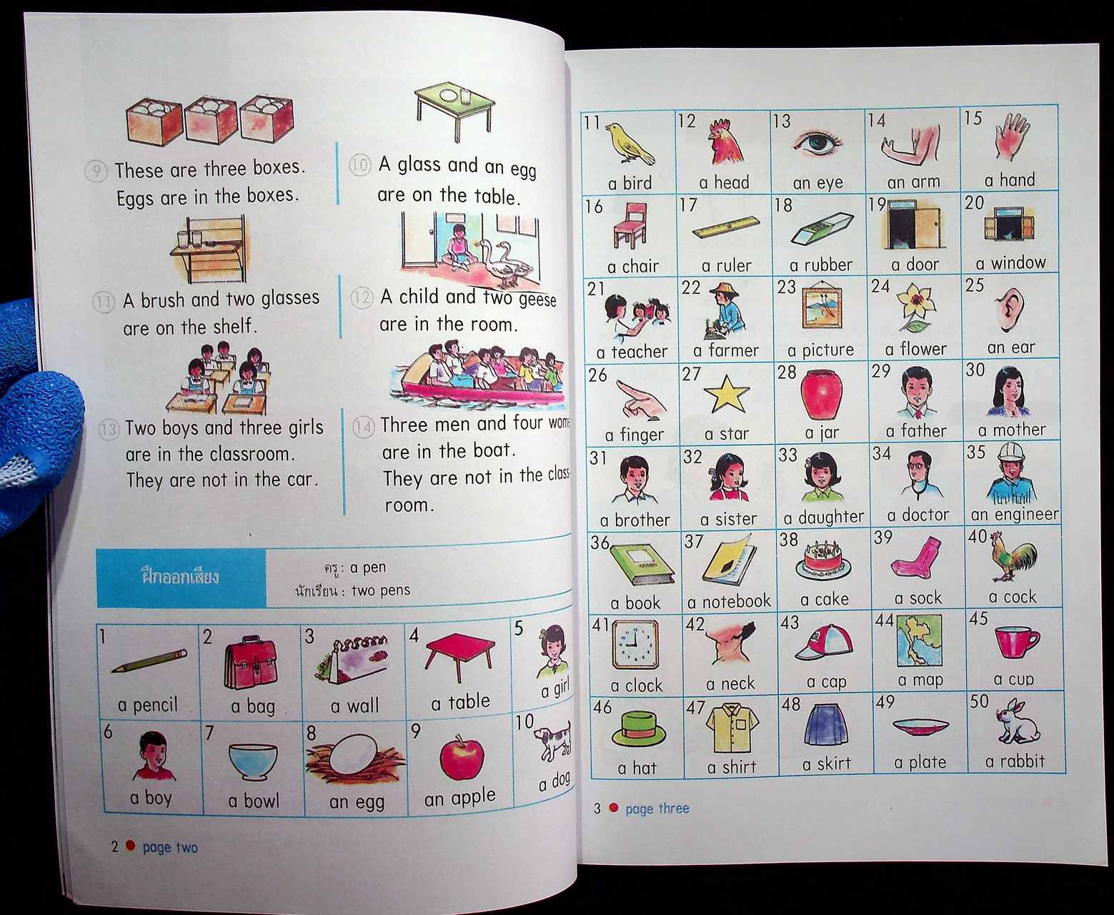 NEW STANDARD ENGLISH 5