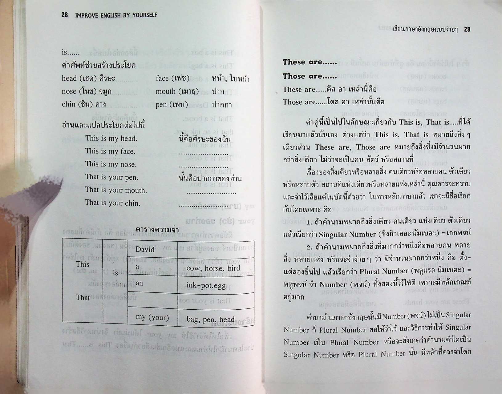 เรียนภาษาอังกฤษแบบง่ายๆ