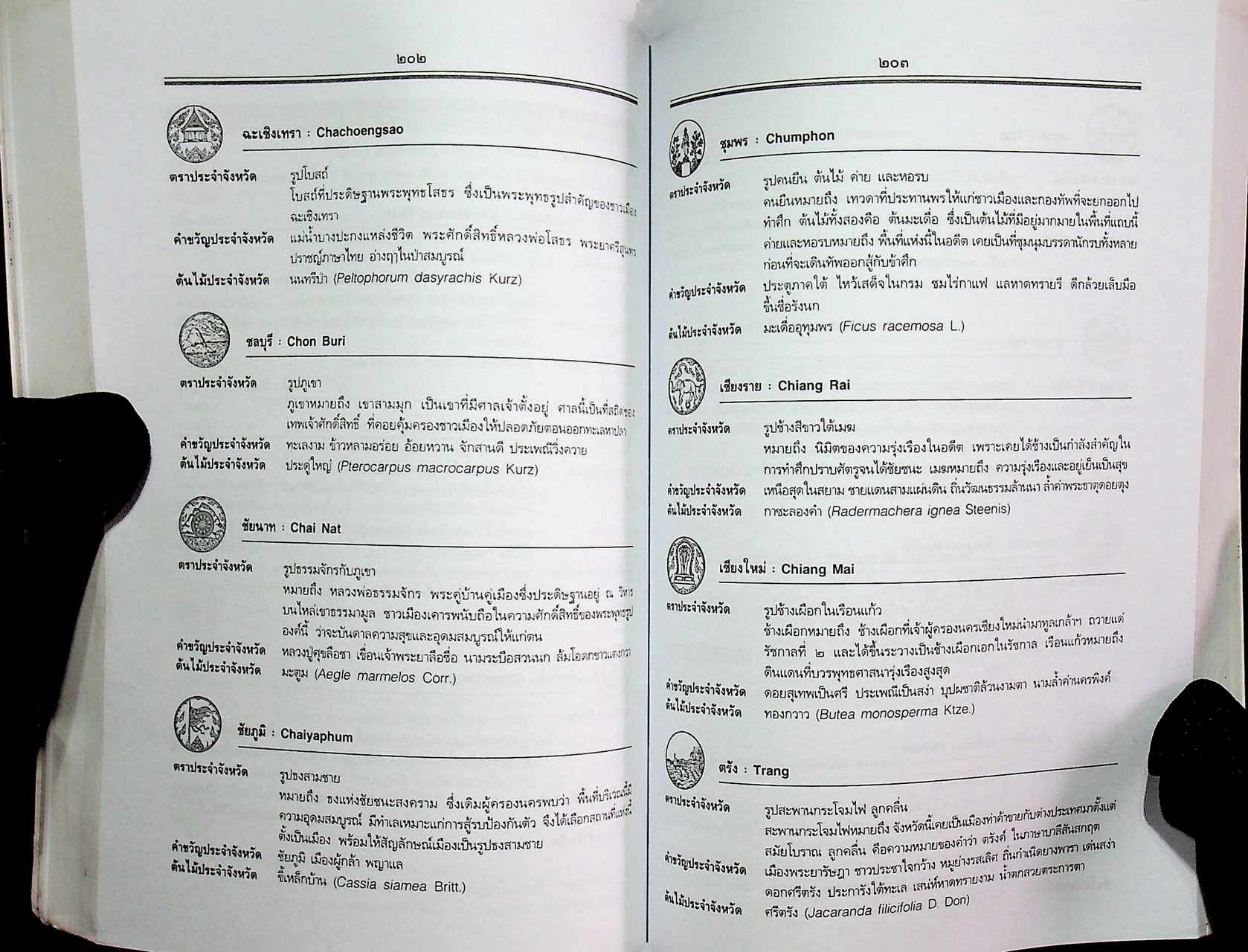 สุดยอดความรู้รอบตัว