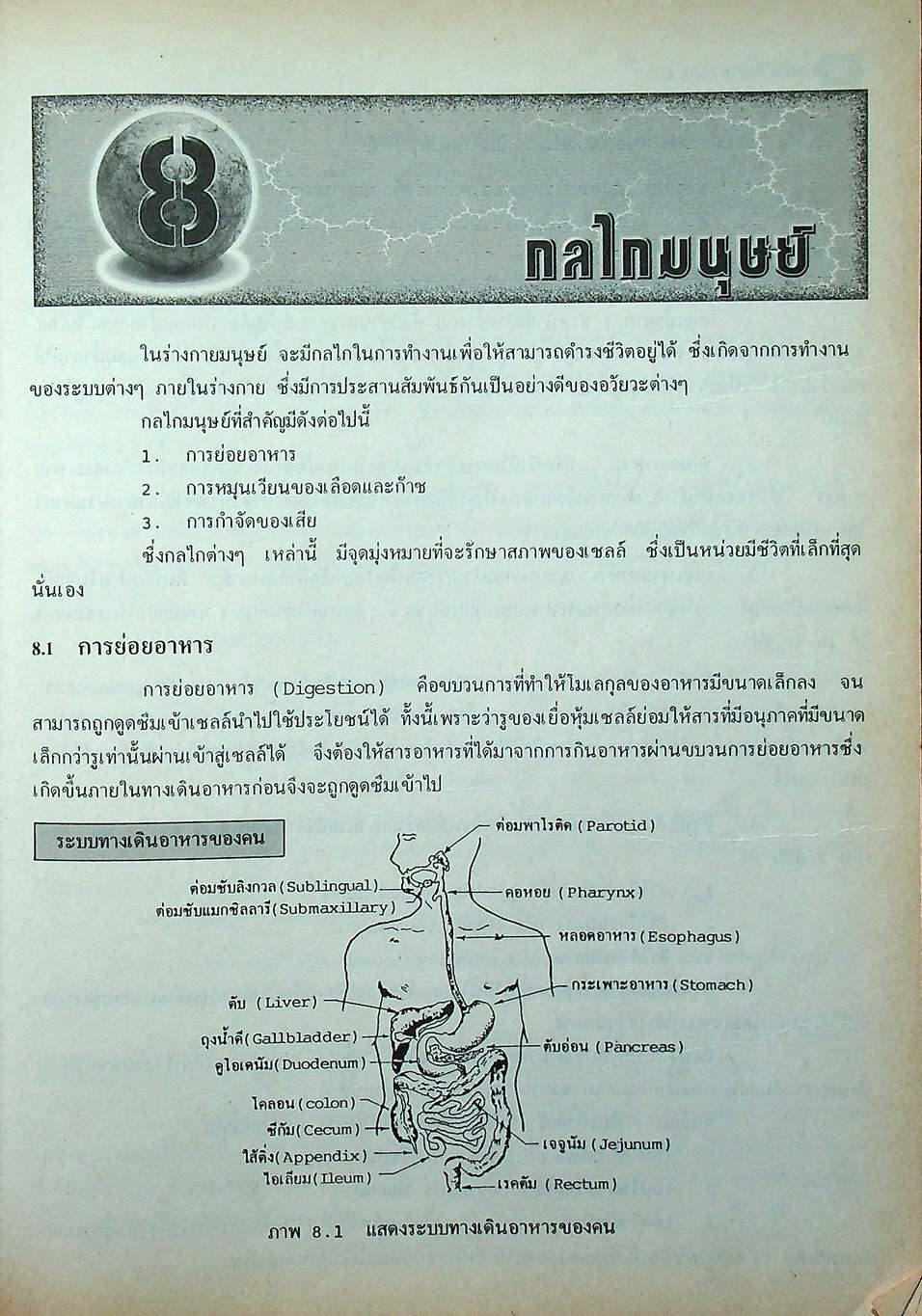 คู่มือ วิทยาศาสตร์ ม.2 ว 203 - ว 204 เล่ม 3 - 4