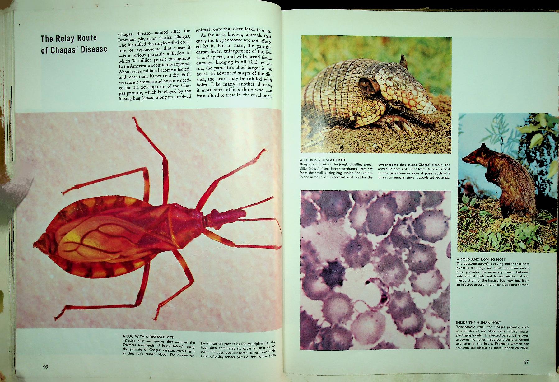 LIFE SCIENCE LIBRARY : HEALTH AND DISEASE