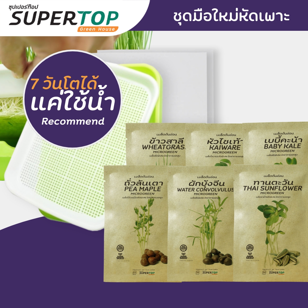 ชุดทดลองเพาะมือใหม่ (แบบไร้ดิน) SUPERTOP | Planting Kit Microgreen