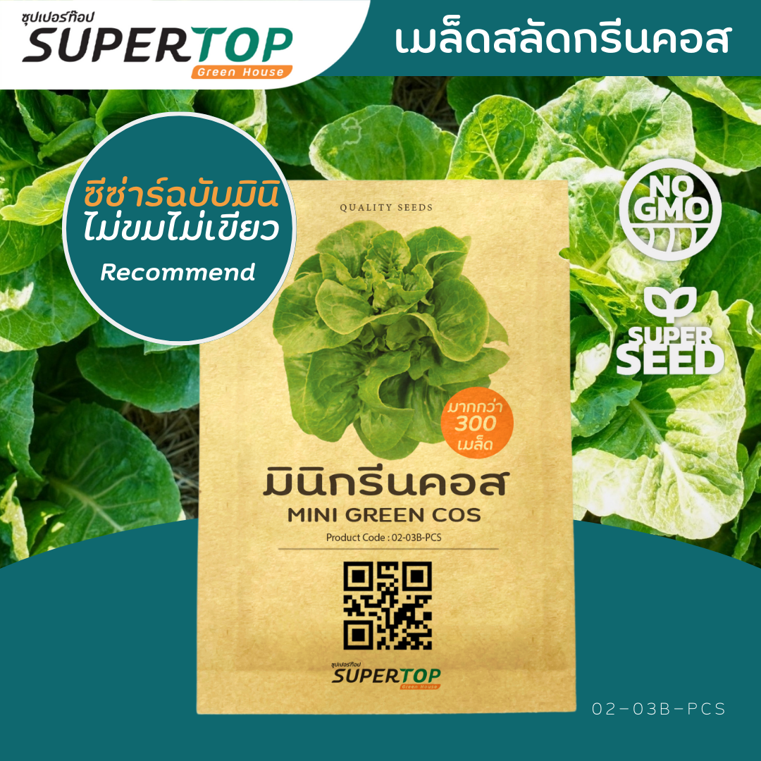 เมล็ดพันธุ์ผักสลัดออร์แกนิก RAILUNGTOP | เก็บจากฝัก สดจากไร่ลุงท๊อป ออร์แกนิก