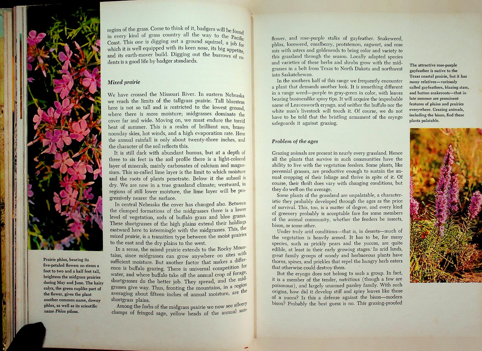 The Life of Prairies and Plains