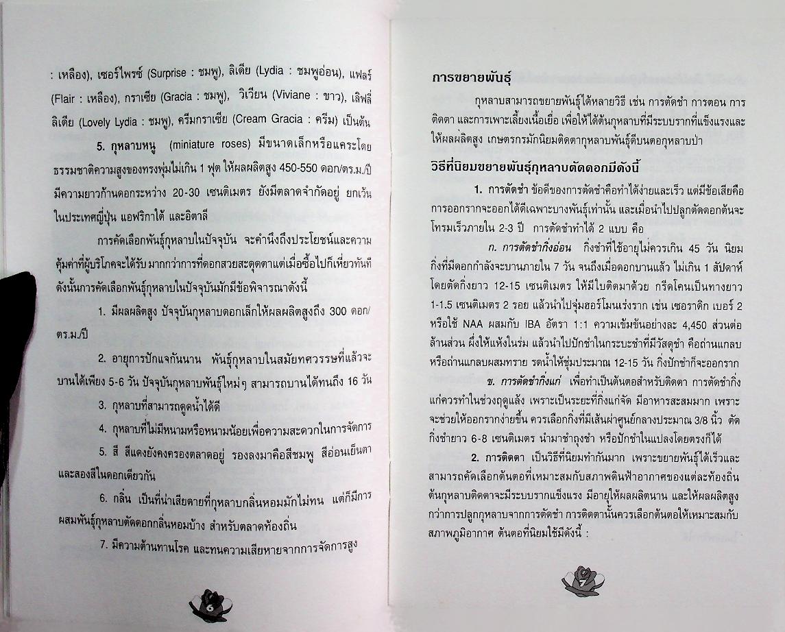 การปลูกกุหลาบ