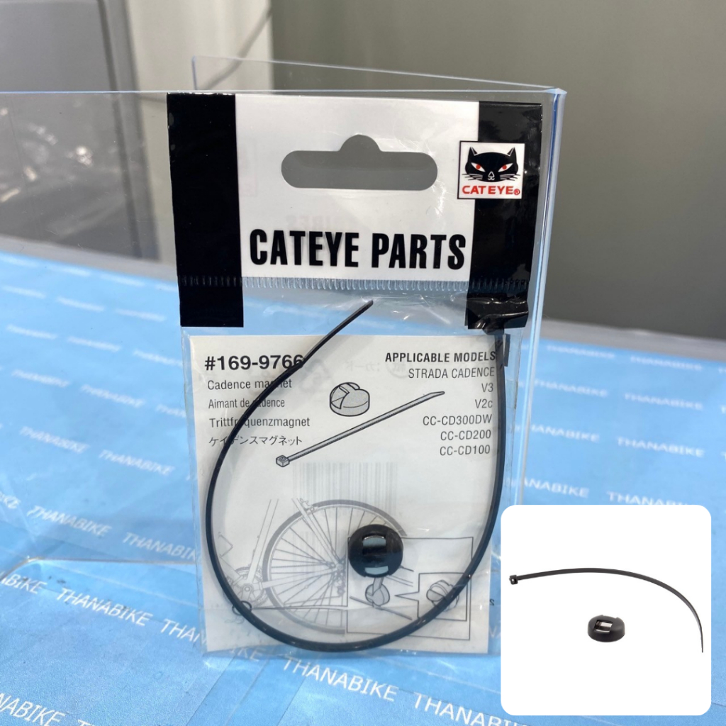 Cadence Magnet Cateye