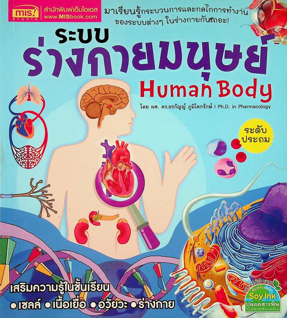 ระบบร่างกายของมนุษย์ ระดับประถม เสริมความรู้ในชั้นเรียน