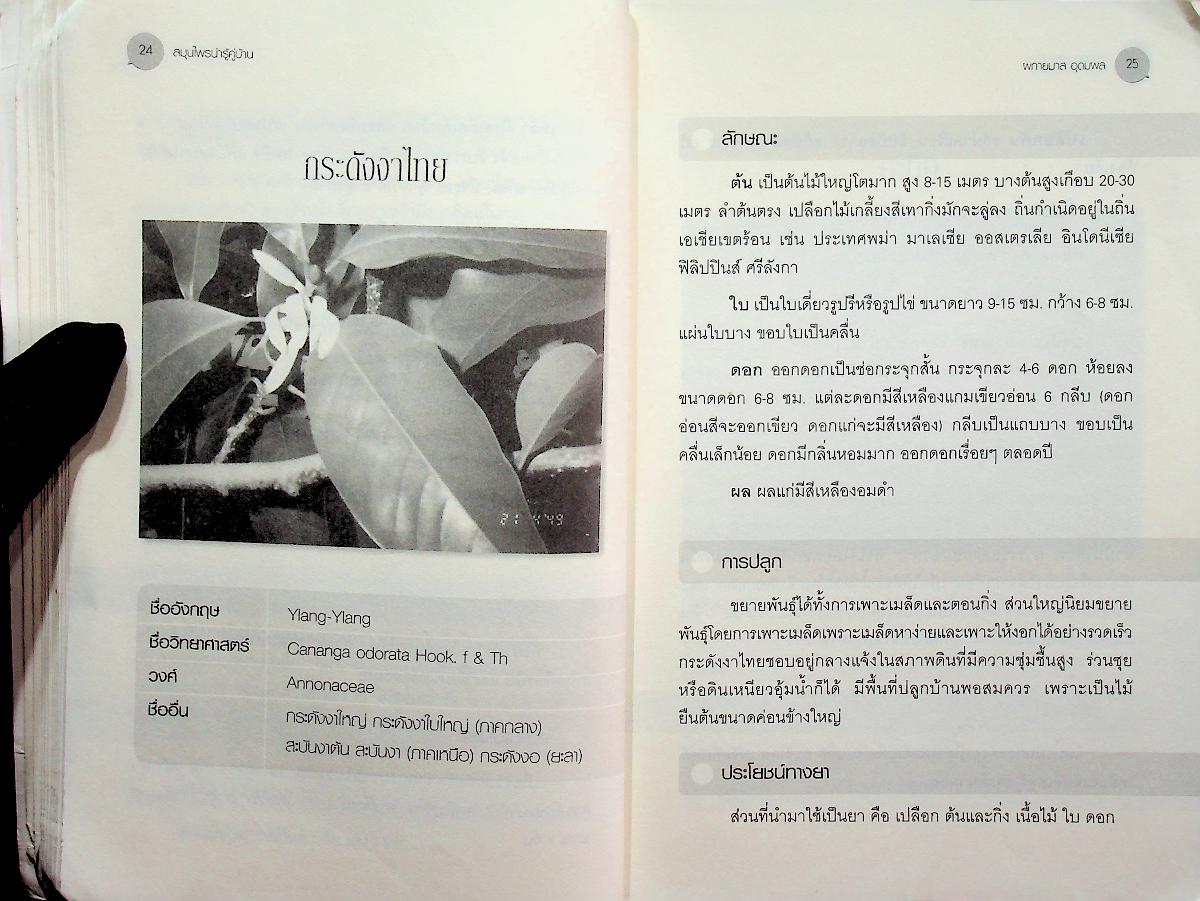 สมุนไพรน่ารู้คู่บ้าน