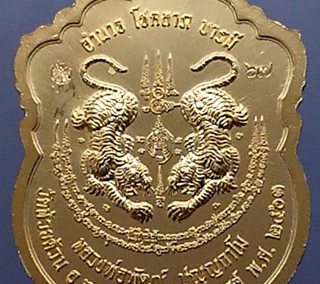 เหรียญเสมาเสือคาบดาบ รุ่น1 เนื้ออาบทองพ่นทราย หลวงพ่อพัฒน์ วัดห้วยด้วน โคท 67