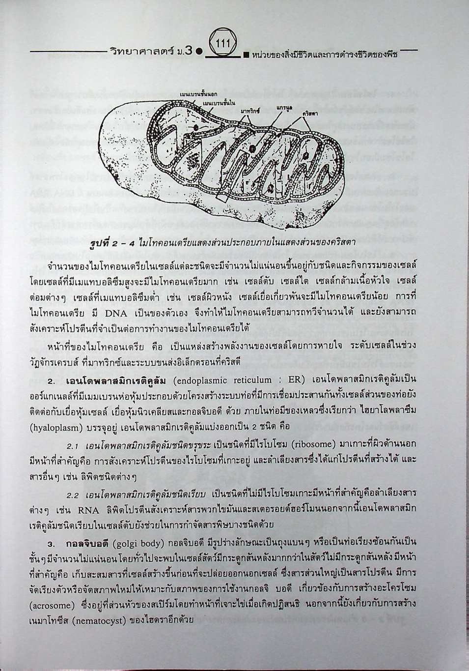 คู่มือเตรียมสอบสาระการเรียนรู้พื้นฐาน วิทยาศาสตร์ ม.3 ชีวิตกับสิ่งแวดล้อม สิ่งมีชีวิตกับกระบวนการดำรงชีวิต