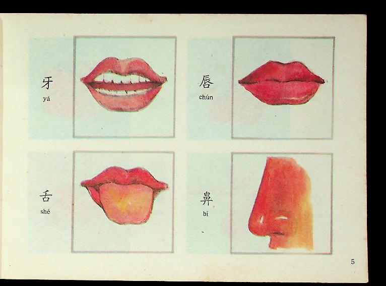 หนังสือเรียนอ่านภาษาจีน (ฉบับภาษาจีน)