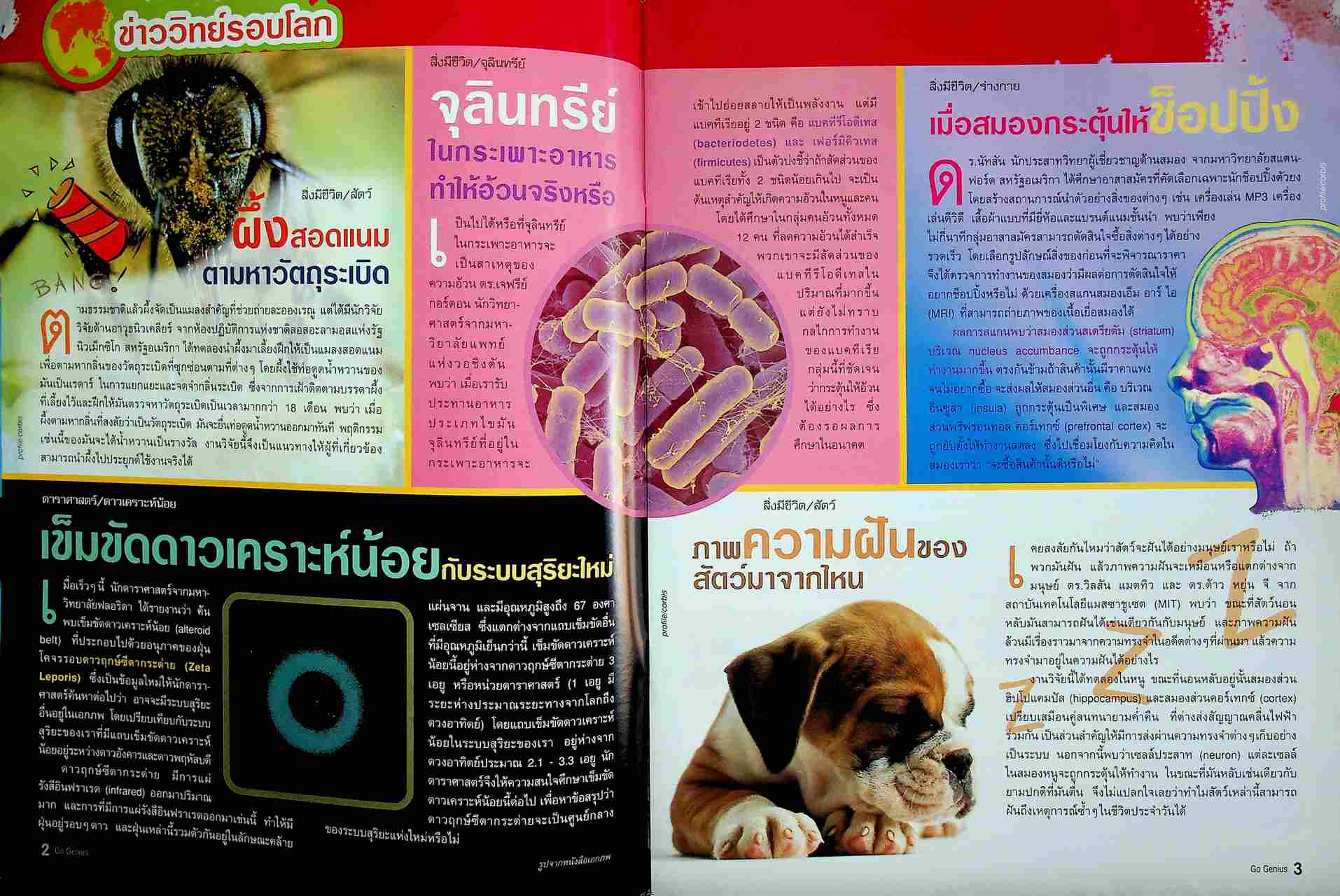 ส่งเสริมการเรียนรู้วิทยาศาสตร์ Go Genius ปีที่ 2 ฉบับที่ 22 กุมภาพันธ์ 2550