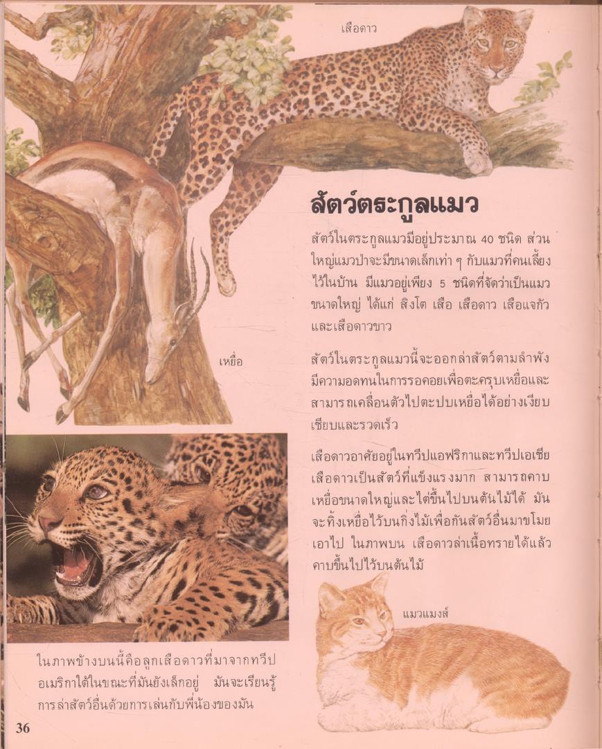 สารานุกรมเยาวชน นานาความรู้ชุดที่ 1 สัตว์เลือดอุ่น