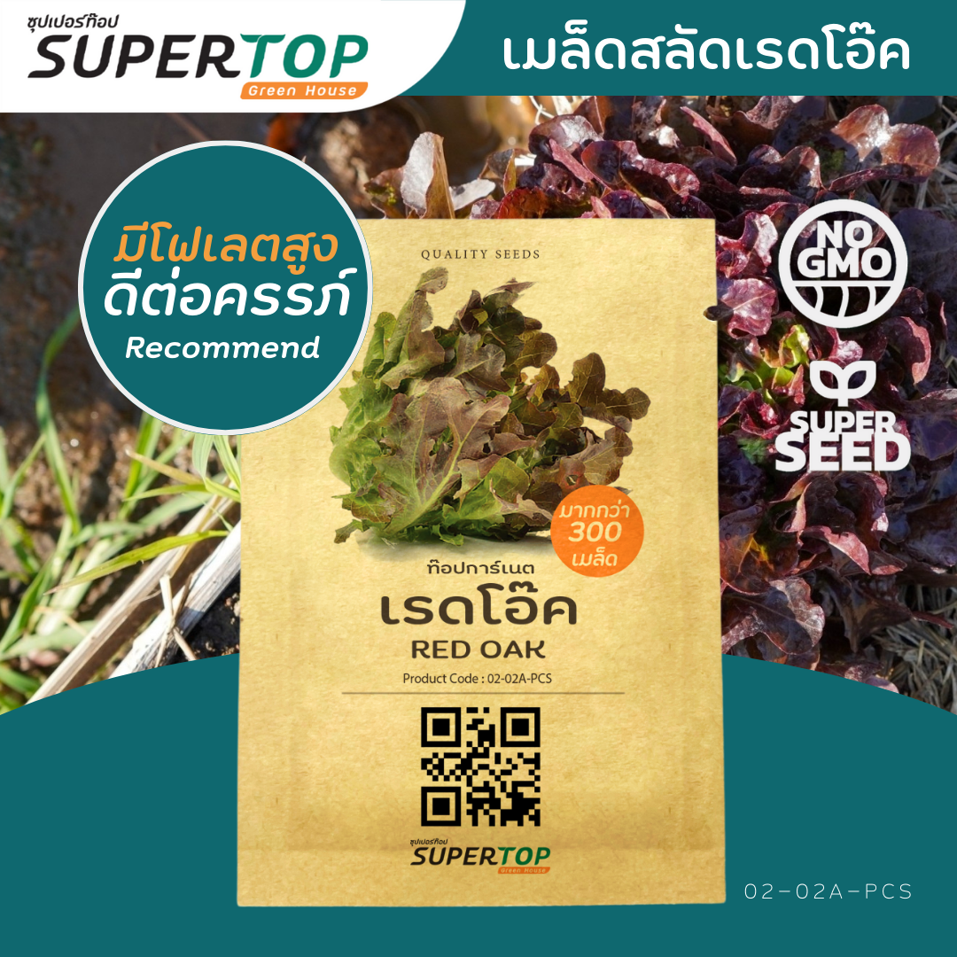 เมล็ดพันธุ์ผักสลัดออร์แกนิก RAILUNGTOP | เก็บจากฝัก สดจากไร่ลุงท๊อป ออร์แกนิก