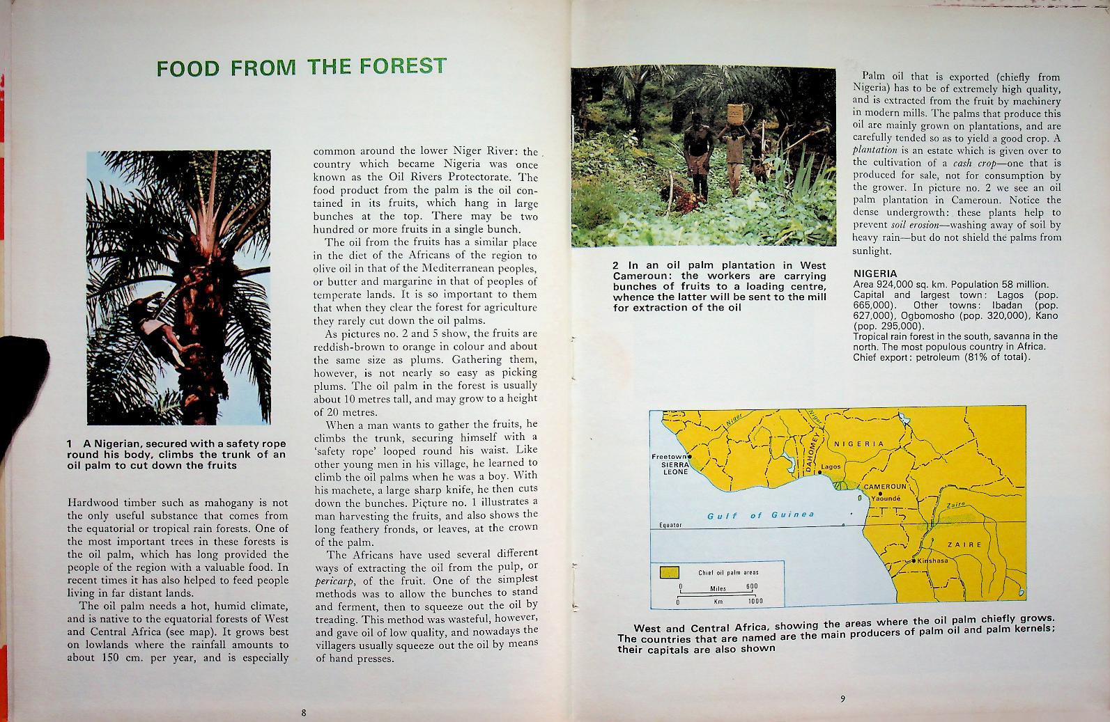 MAN AND HIS WORLD : FOOD