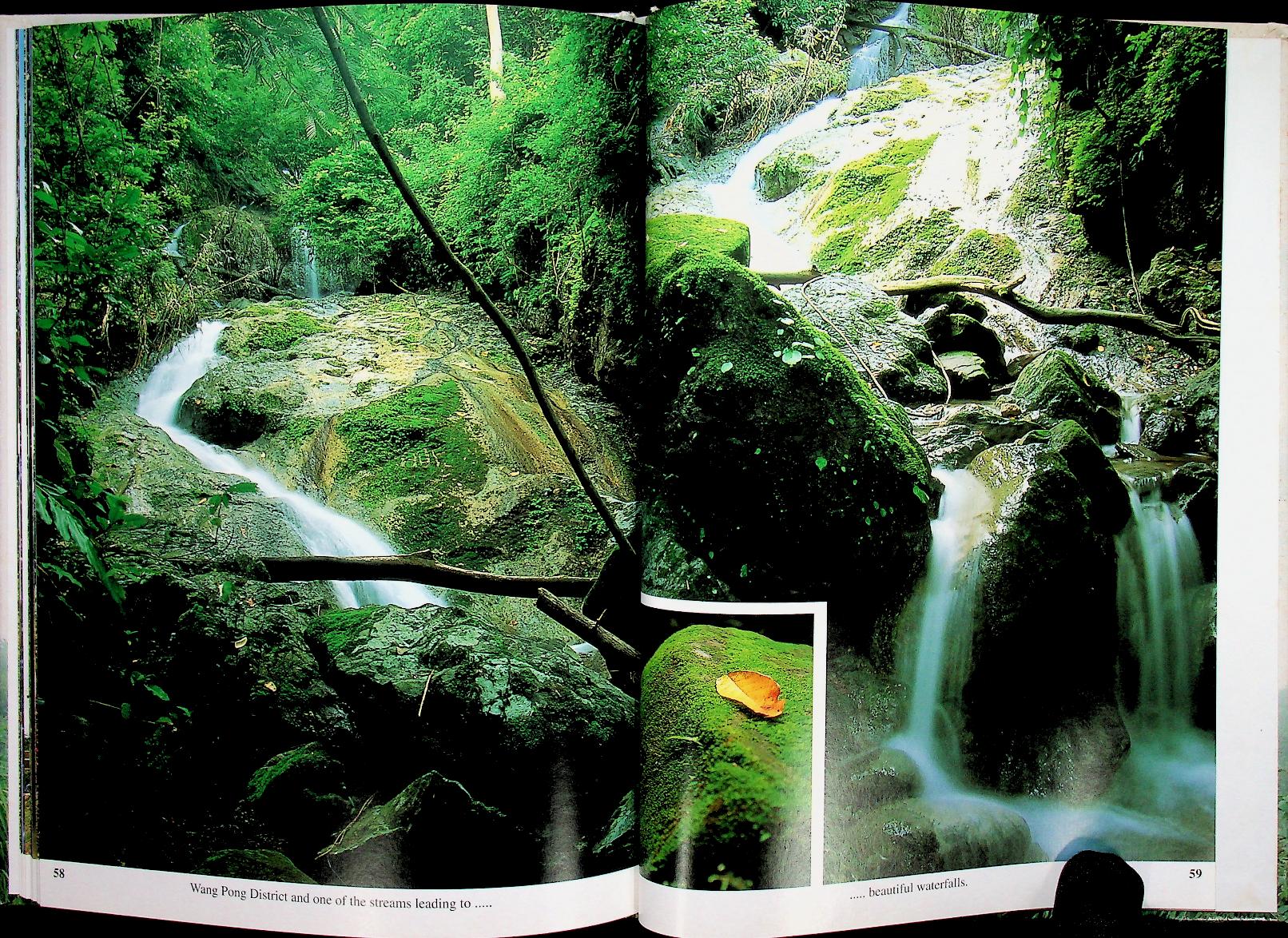 Phetchaboon A Picture Book to Remember Her by