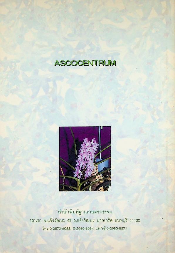 กล้วยไม้สกุลเข็ม