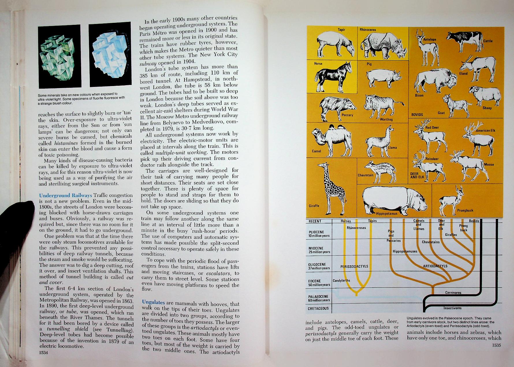 The 21st Century JUNIOR WORLD Encyclopedia 10