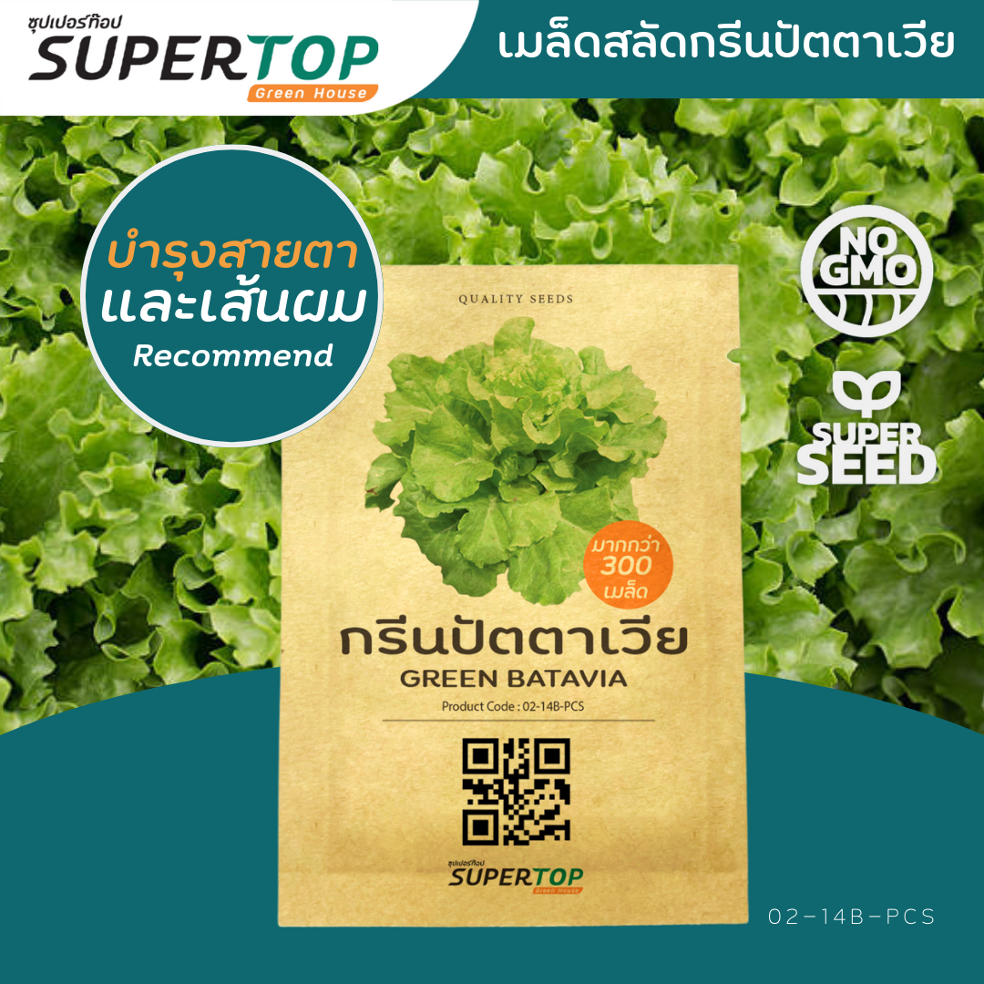 เมล็ดพันธุ์ผักสลัดออร์แกนิก RAILUNGTOP | เก็บจากฝัก สดจากไร่ลุงท๊อป ออร์แกนิก