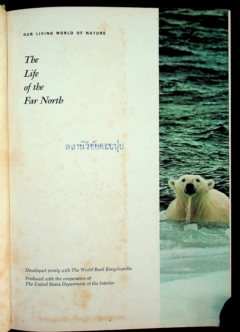 The Life of the Far North