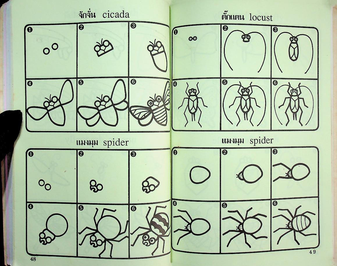 หัดวาดการ์ตูน 5 รูปแมลง