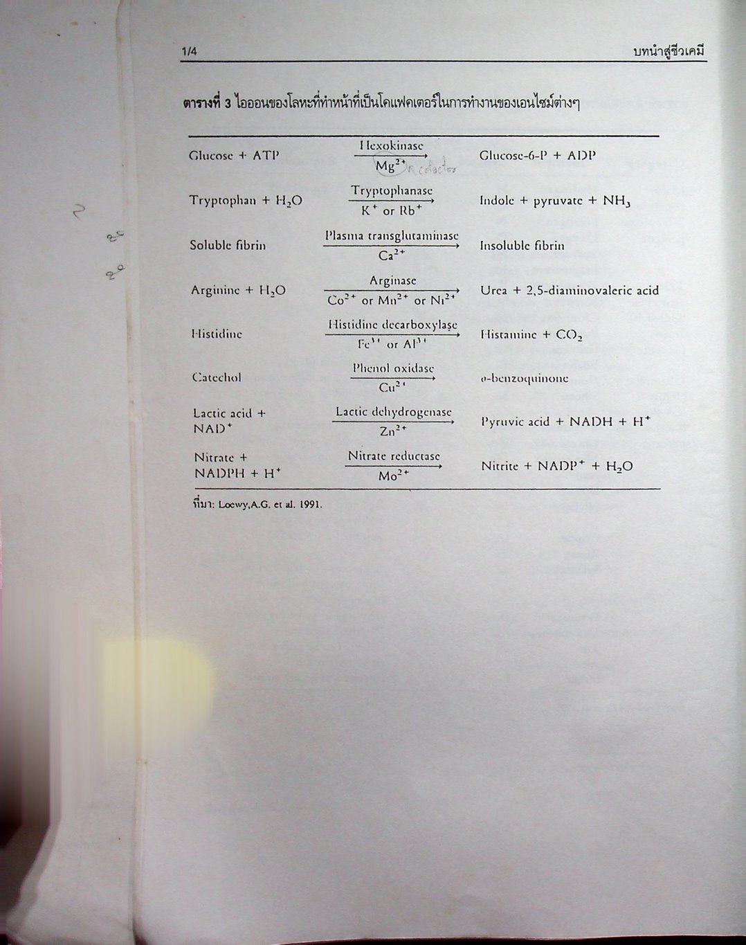 คู่มือการสอนชีวเคมี เล่ม 1 Biochemistry Part I