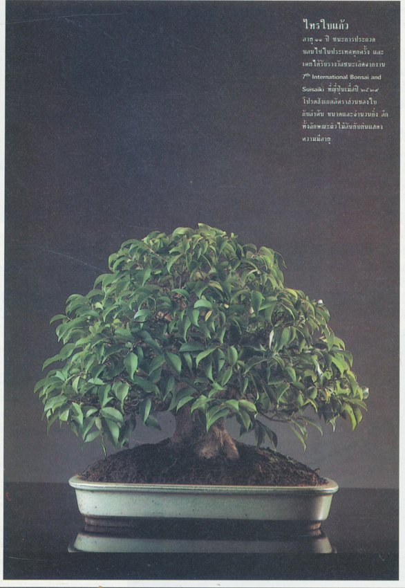 วันสถาปนาสมาคมรถแทรคเตอร์และอะไหล่แห่งประเทศไทย 29 ตุลาคม 2537