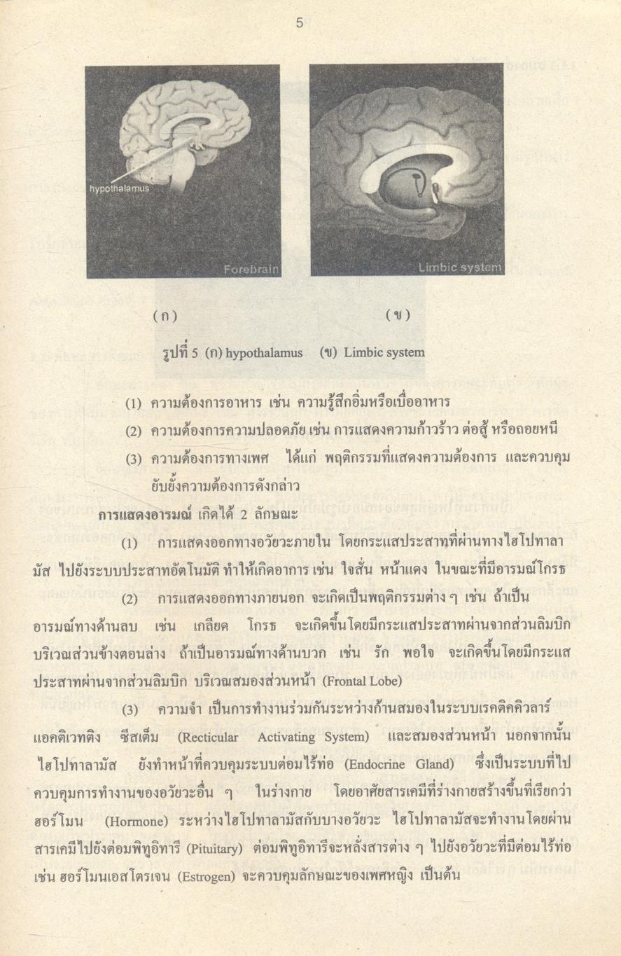 การคิดและการตัดสินใจ (THINKING AND DECISION MAKING)