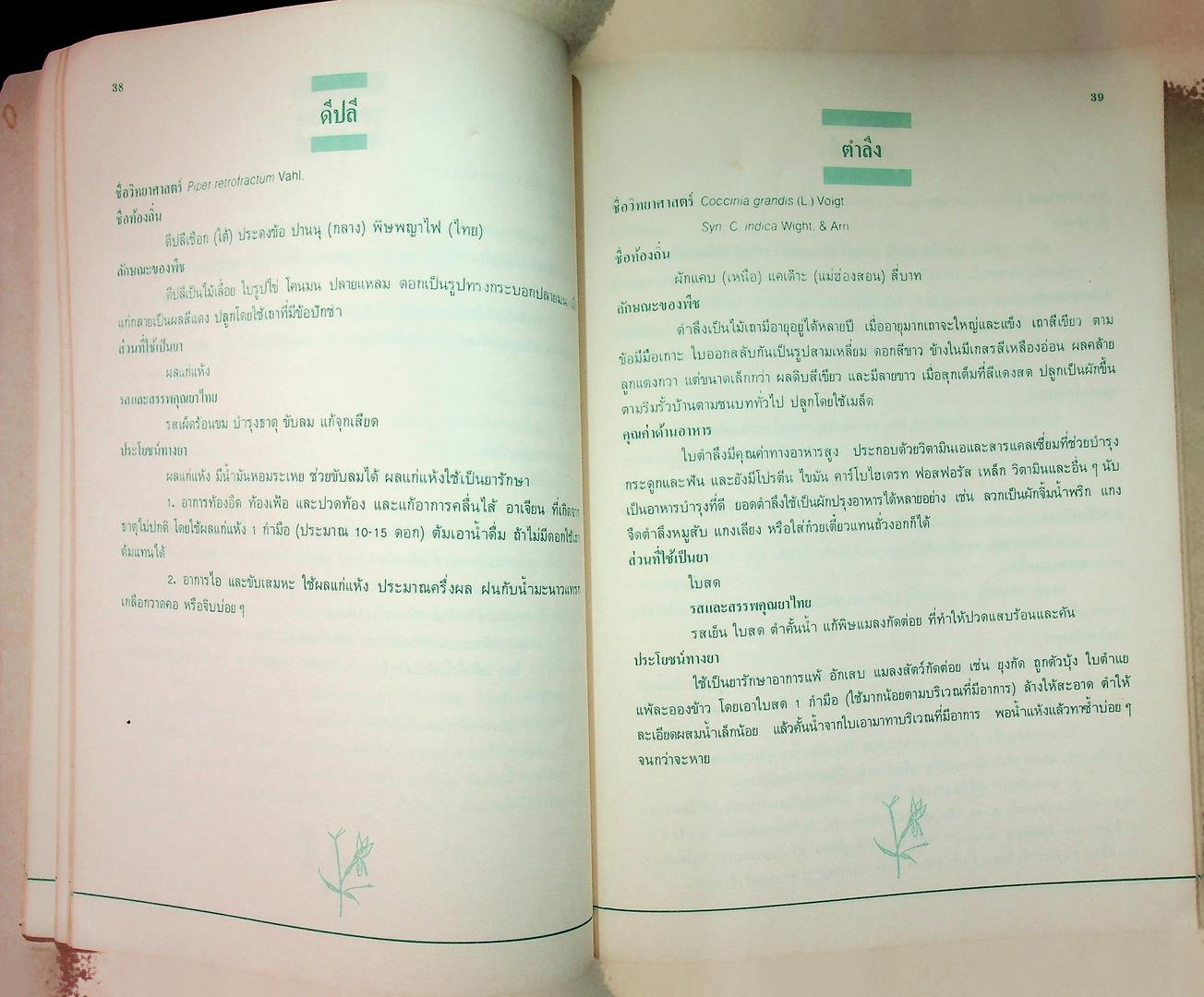 สมุนไพรใกล้ตัว