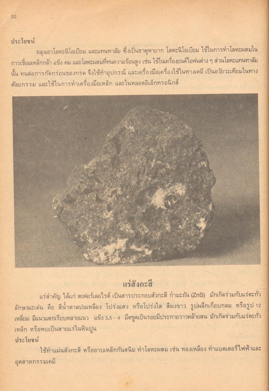 โลกและการอนุรักษ์