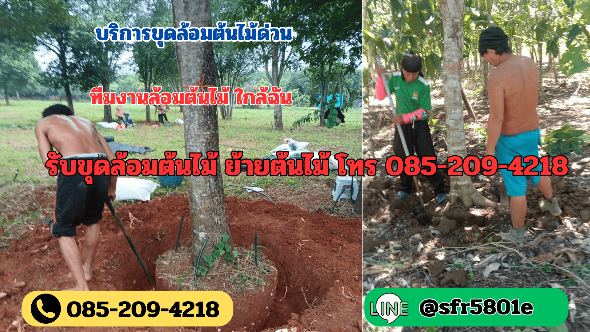 รับขุดล้อมต้นไม้ ราคา