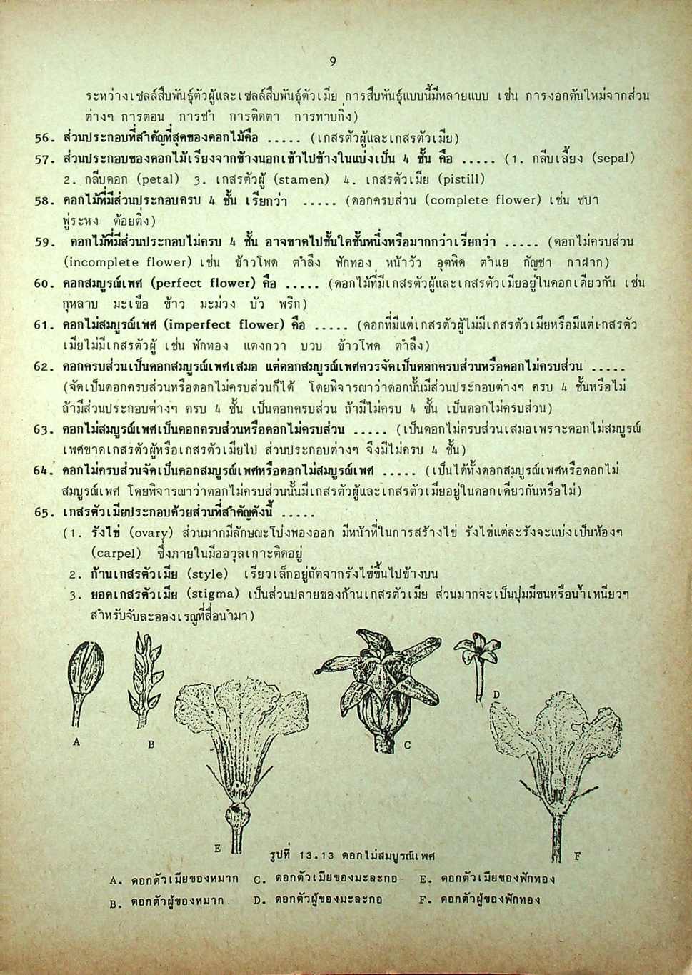 คู่มือ วิทยาศาสตร์ ม.3 เล่ม 5-6 ว.305,306 ปรับปรุงใหม่ สมบูรณ์ที่สุด