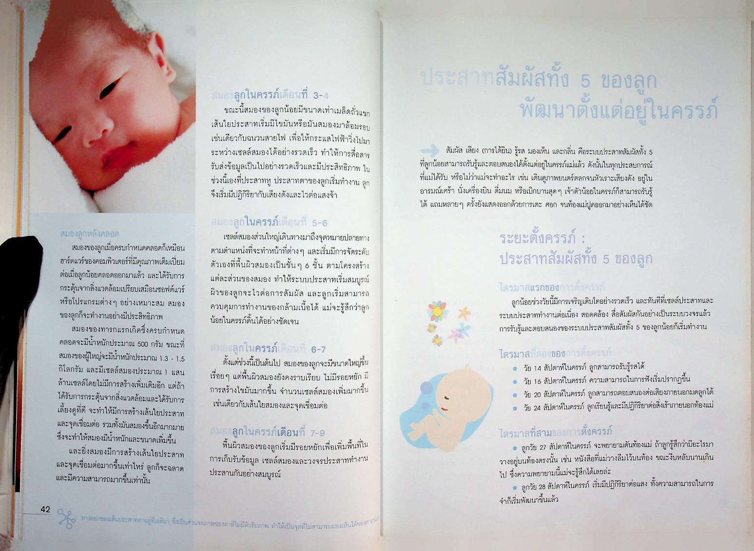 คู่มือพัฒนาสมองลูกด้วยสองมือพ่อแม่