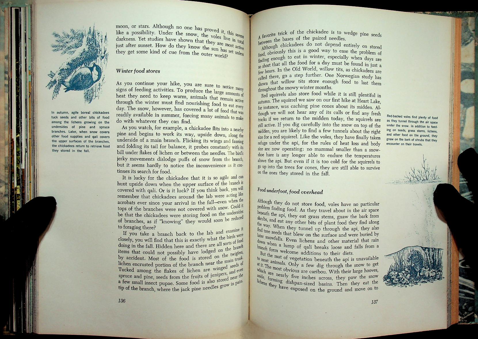 The Life of the Far North